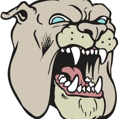 AR BDOG 42 RC Thumbnail