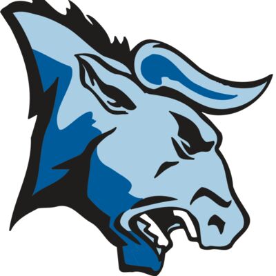 AR BULL 20 RC Thumbnail