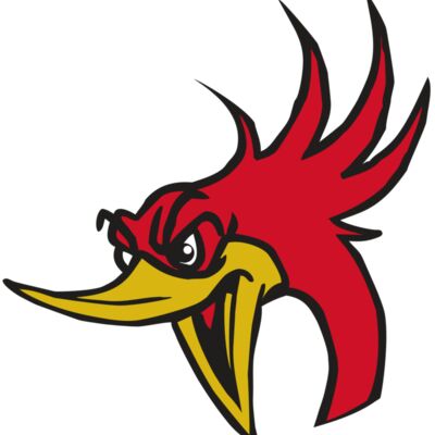 AR31 ROADRUNNER 02 RQC Thumbnail