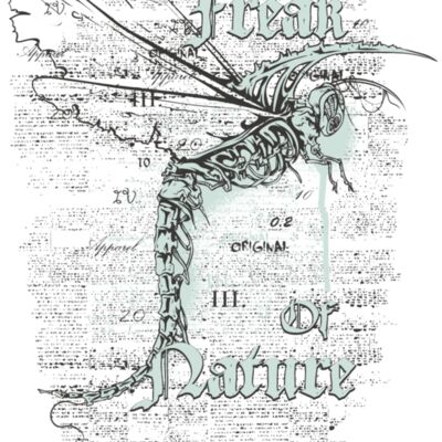 designious t shirt design 361 Thumbnail